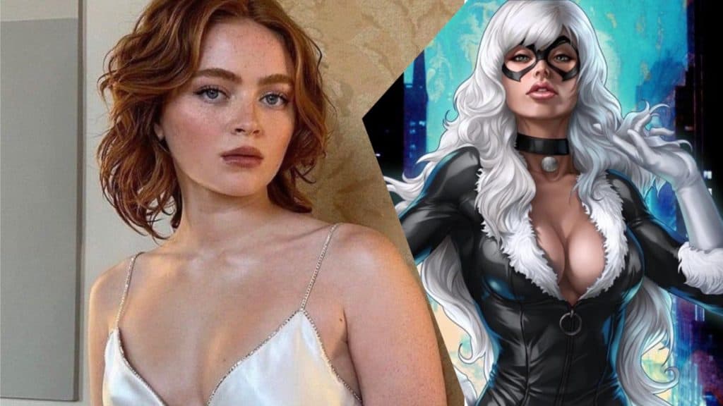 Spider-Man 4 casting news