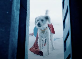 Krypto in Superman