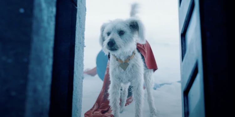 Krypto in Superman