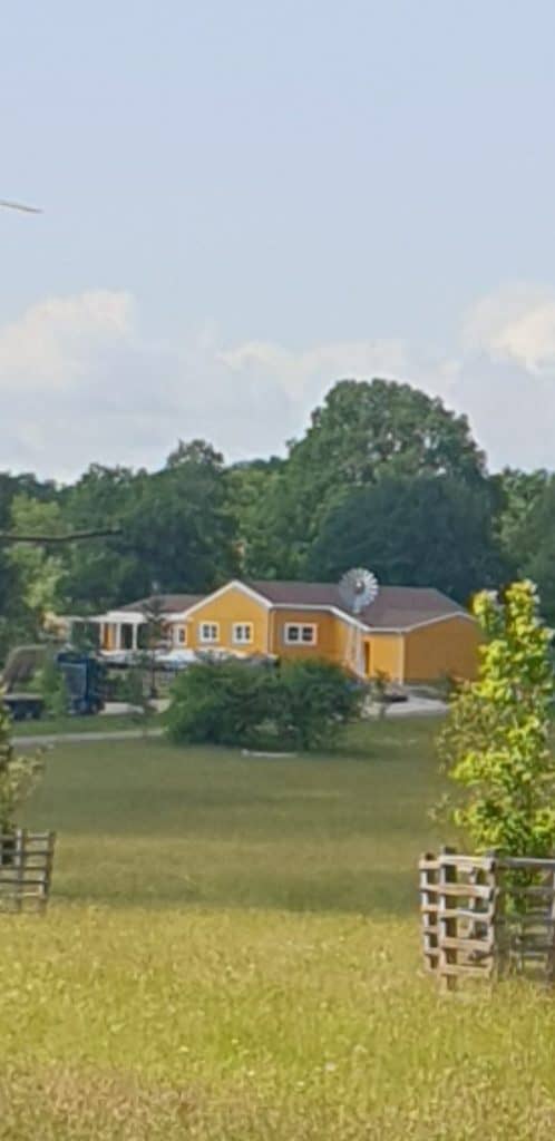 Filming for Avengers: Doomsday at Windsor Great Park has wrapped. Leaked set images reveal Steve Rogers and Peggy Carter living with their children, hinting at a major storyline in the upcoming Marvel film.