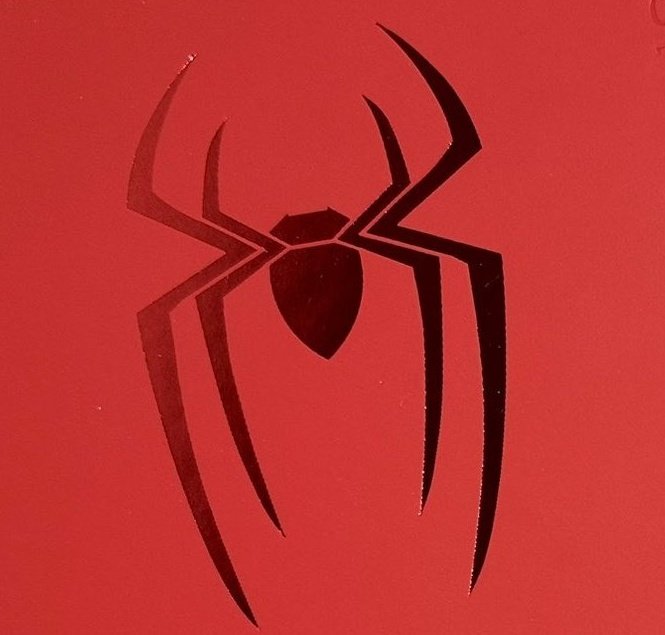 Marvel reveals the official new logos for Jon Bernthal’s Punisher and Tom Holland’s Spider-Man ahead of Spider-Man: Brand New Day.