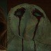 New Daredevil: Born Again Season 3 set leaks hint that Heather Glenn may take on the Muse identity, setting up a major twist for the next season.