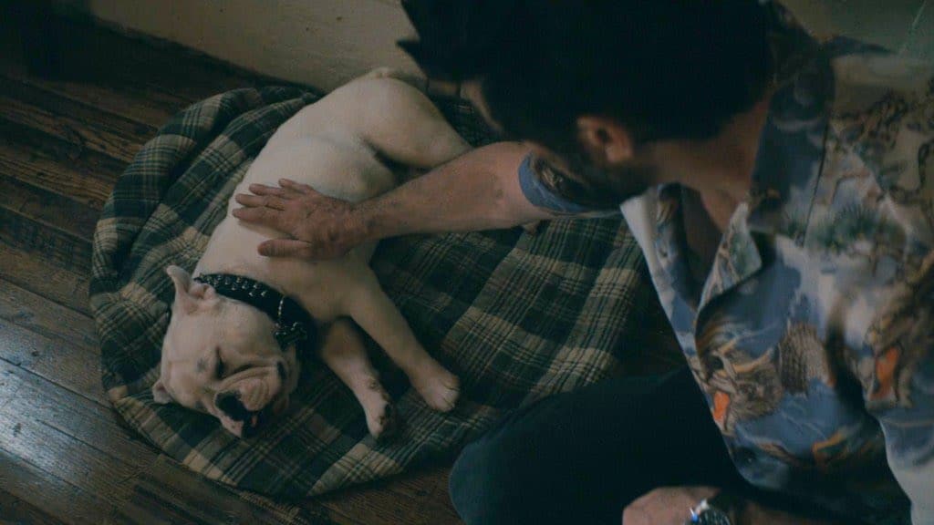The Boys Season 5 finale hints that Kimiko Miyashiro’s radiation may have caused Terror’s off-screen death, explaining the dog’s limited appearances in the episode.