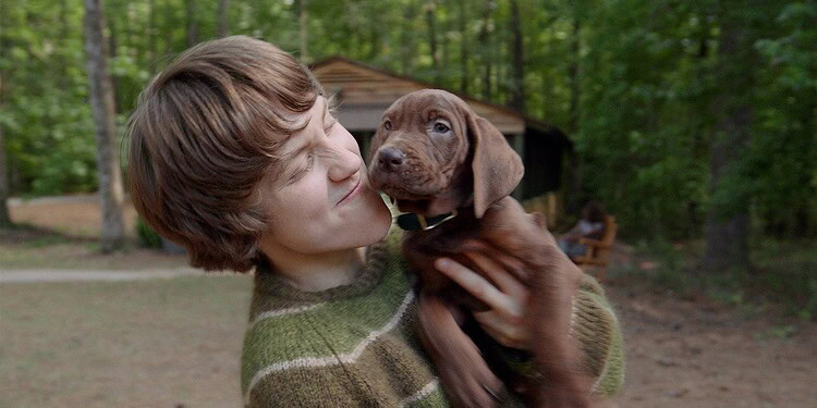 The first look at Netflix's live-action Scooby-Doo: Origins has arrived, showcasing Scooby-Doo's adorable debut alongside Shaggy.