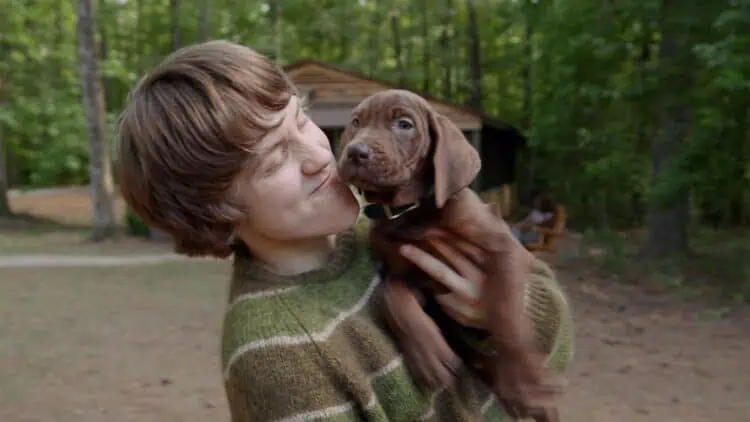 The first look at Netflix's live-action Scooby-Doo: Origins has arrived, showcasing Scooby-Doo's adorable debut alongside Shaggy.