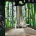 doctor doom