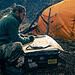 Heart of the Beast trailer stars Brad Pitt as a former soldier fighting to survive with his dog after a plane crash in the wilderness.