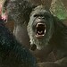 Godzilla x Kong: Supernova plot details have reportedly surfaced, teasing a worldwide crisis and mysterious signals detected across the globe.